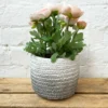 Cement Two Tone Grey Planter