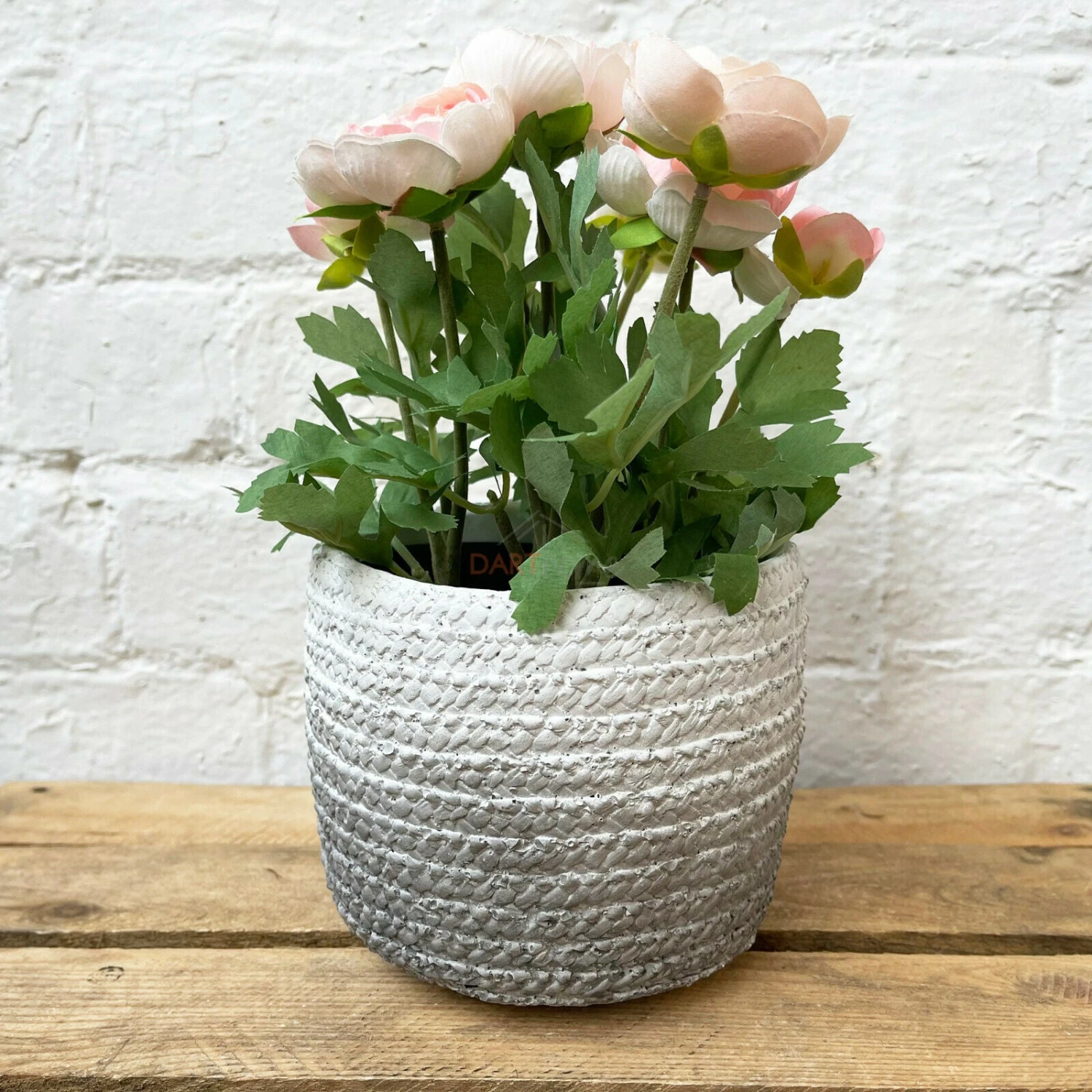 Cement Two Tone Grey Planter 1 Cement Two Tone Grey Planter