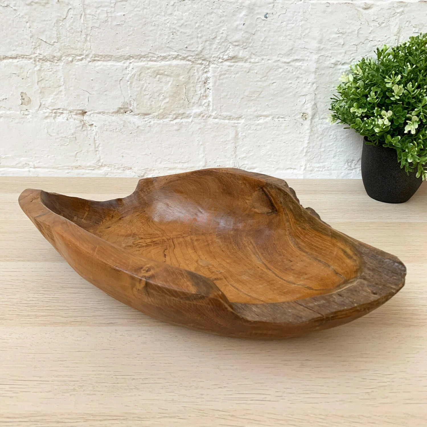 Teak Root Wood Long Bowl 35cm 5 Teak Root Wood Long Bowl 35cm - Image 5