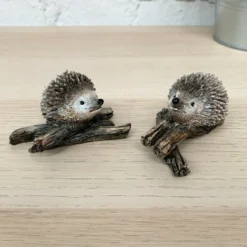 Miniature Pair Of Hedgehogs On Branch