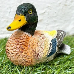 Miniature Colourful Content Duck Figurine -Home Decoration 33 212f77fe 993b 4856 8073 8a179c47a77f