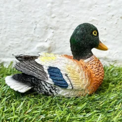 Miniature Colourful Content Duck Figurine -Home Decoration 34 0d5d26ea 936d 497d a78b fb4b00ddd866