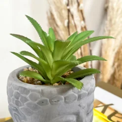 Cement Buddha Head Succulent -Home Decoration 76 e7f8d35d 76d9 45be 8dc1 fa67787fa4ee