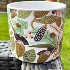 Ceramic Leaf Foliage Plant Pot Holder 10cm -Home Decoration IMG 3002.JPEG edited285
