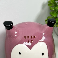 Ceramic Owl Money Box -Home Decoration IMG 5648 JPEG
