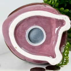 Ceramic Owl Money Box -Home Decoration IMG 5649 JPEG