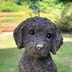 Gold Cockapoo Dog Figure -Home Decoration IMG 6778.JPEG edited65
