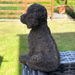 Gold Cockapoo Dog Figure -Home Decoration IMG 6781.JPEG edited68