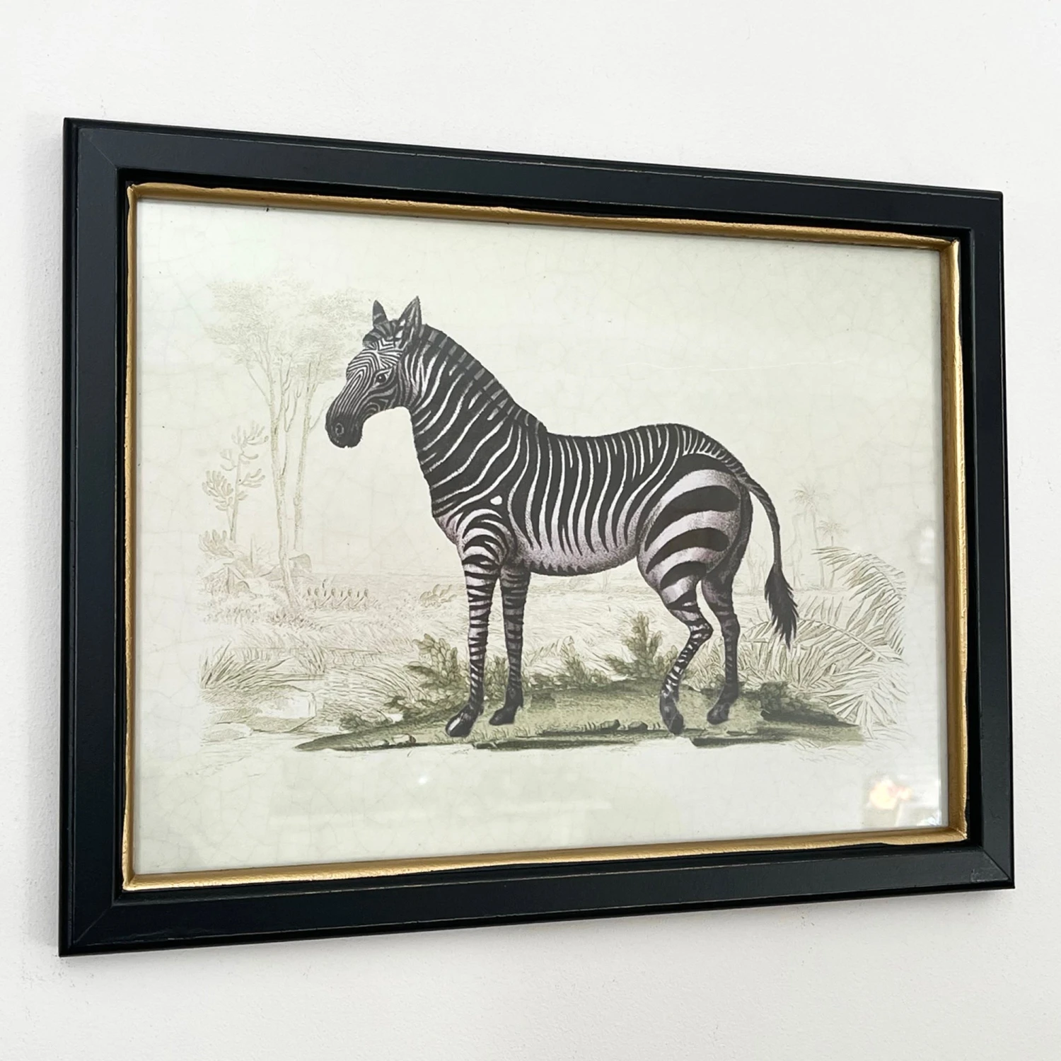 Vintage Zebra Framed Wall Art 1 Vintage Zebra Framed Wall Art