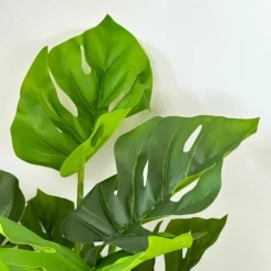 Artificial Monstera Swiss Cheese Plant -Home Decoration IMG 8994 JPEG