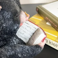Black Reading Mole Bookends -Home Decoration IMG E0140 editedAA