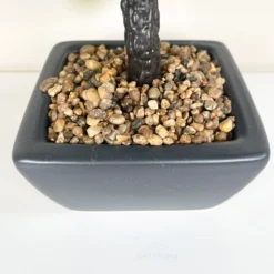 Artificial Ficus Bonsai Tree Plant In Black Pot 37cm -Home Decoration IMG E1144 edited33