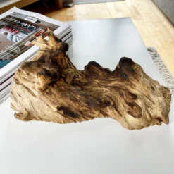 Molten 20cm Fruit Bowl On Teak Root Stand 21 Molten 20cm Fruit Bowl On Teak Root Stand -Home Decoration IMG E1415