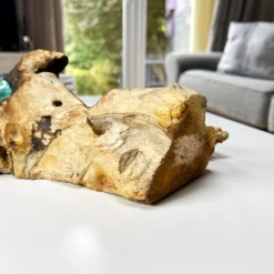 Molten Glass Double Candle Holder On Teak Root Stand -Home Decoration IMG E1430