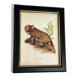 Forest Fox Toile Framed Print -Home Decoration IMG E1817copy