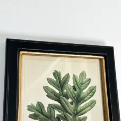 Forest White Oak Acorns Toile Framed Print -Home Decoration IMG E1836