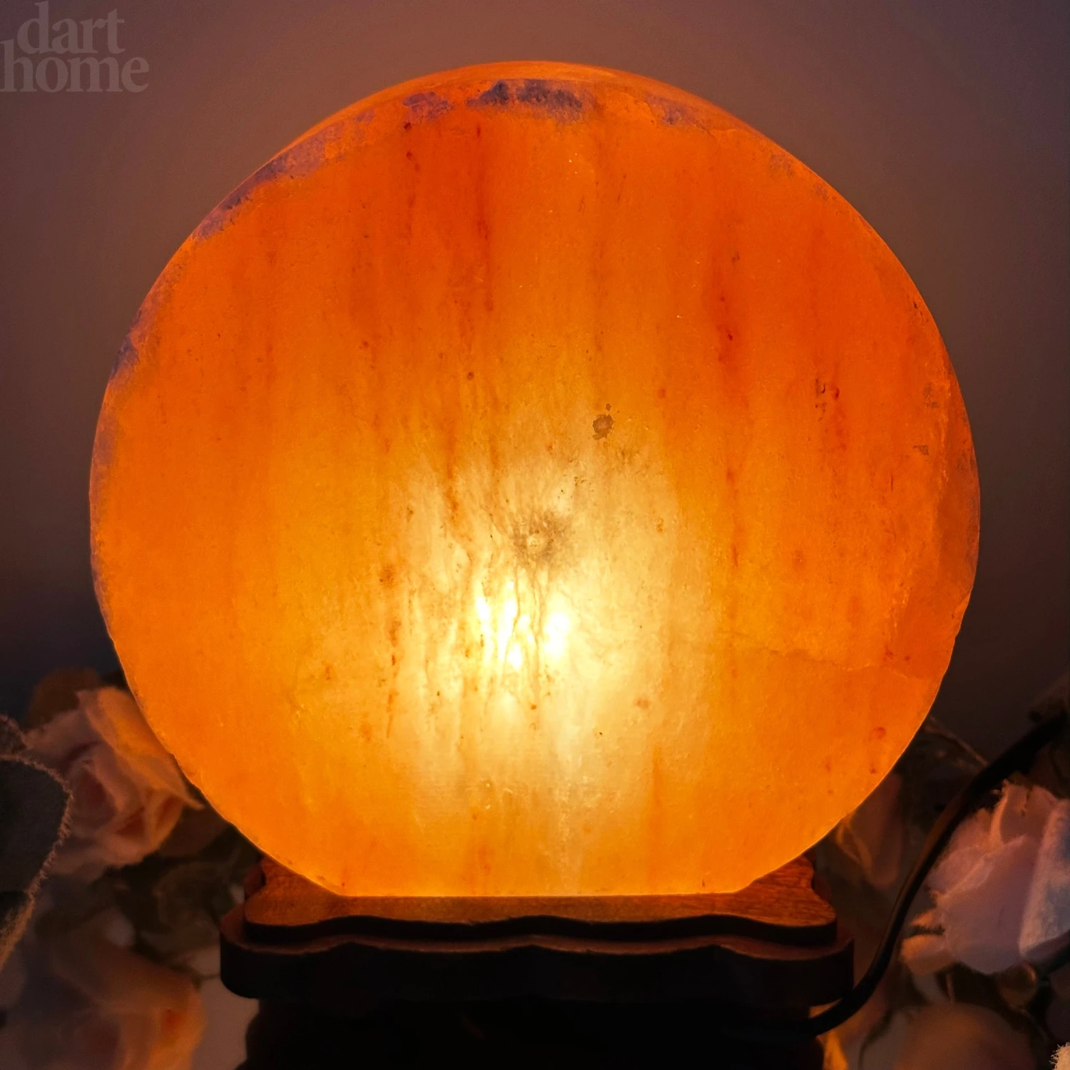 Winter Stag Salt Lamp 3 Winter Stag Salt Lamp - Image 3