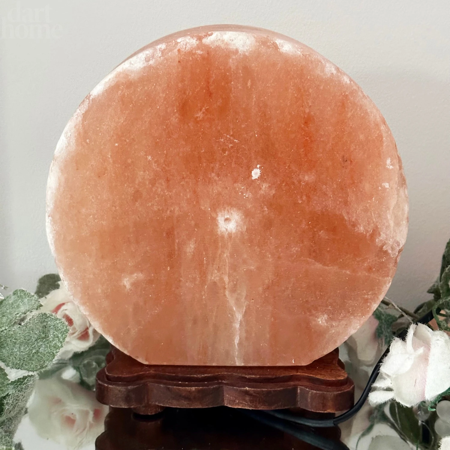 Winter Stag Salt Lamp 5 Winter Stag Salt Lamp - Image 5