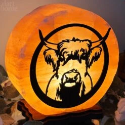 Highland Cow Salt Lamp -Home Decoration IMG E3002