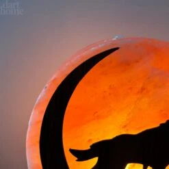 Howling Fox Himalayan Salt Lamp -Home Decoration IMG E3068 b439d7ef 64b3 4359 9baf 728a6c12a357