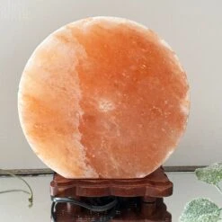 Howling Fox Himalayan Salt Lamp -Home Decoration IMG E3074 db3862aa 389f 4504 910a 479dedcb0989