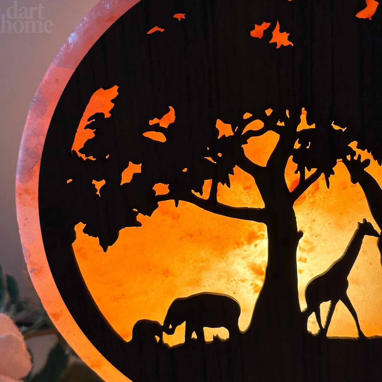 Safari Animal Himalayan Salt Lamp 5 Safari Animal Himalayan Salt Lamp - Image 5