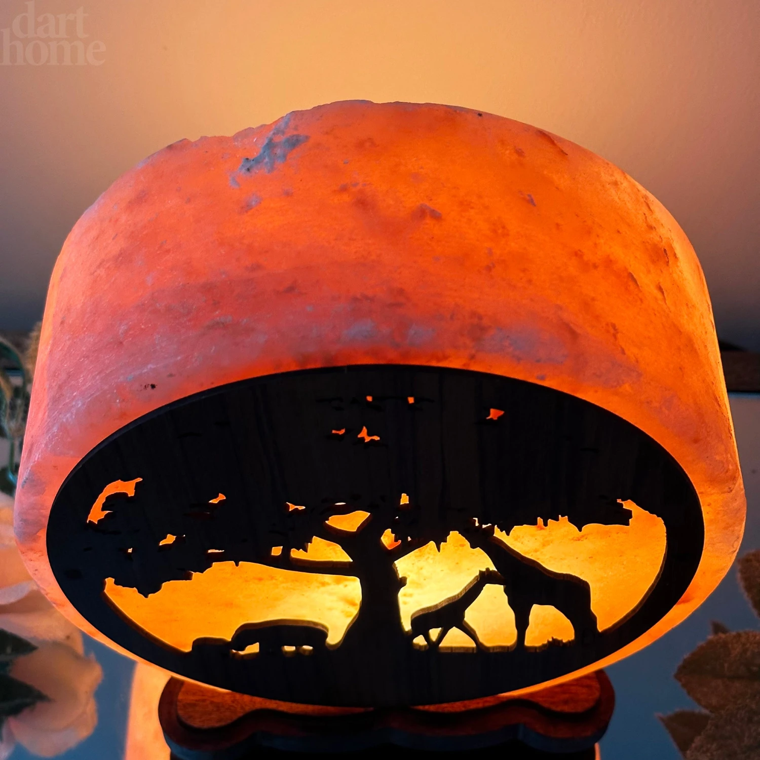 Safari Animal Himalayan Salt Lamp 6 Safari Animal Himalayan Salt Lamp - Image 6