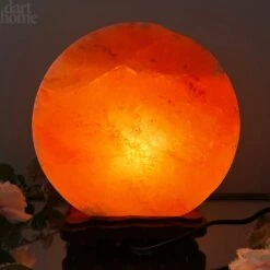 Safari Animal Himalayan Salt Lamp 22 Safari Animal Himalayan Salt Lamp -Home Decoration IMG E3089