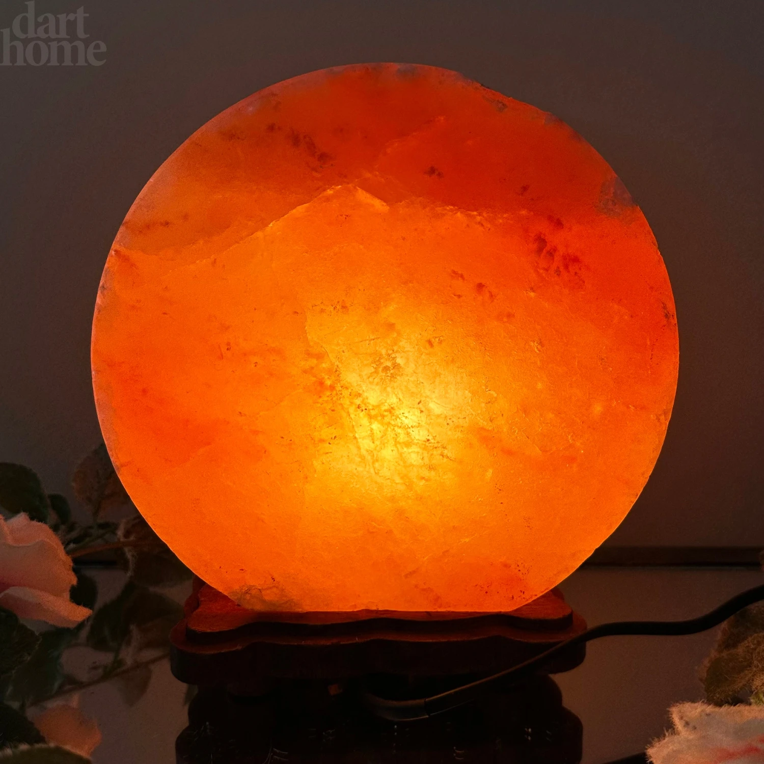 Safari Animal Himalayan Salt Lamp 9 Safari Animal Himalayan Salt Lamp - Image 9