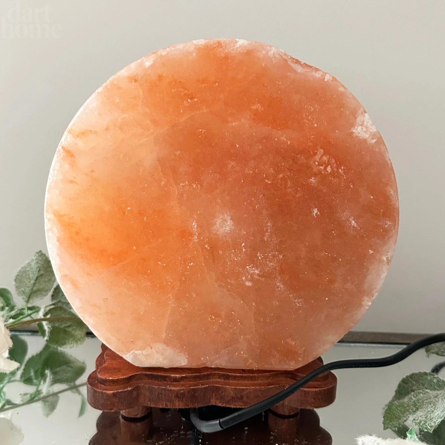 Safari Animal Himalayan Salt Lamp 10 Safari Animal Himalayan Salt Lamp - Image 10