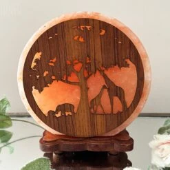 Safari Animal Himalayan Salt Lamp 24 Safari Animal Himalayan Salt Lamp -Home Decoration IMG E3091