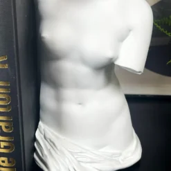 White Roman Goddess Venus Bookends Set -Home Decoration IMG E3433