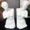 White Roman Goddess Venus Bookends Set