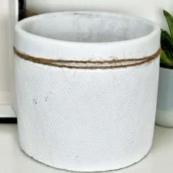Cement White Round Bee Pot -Home Decoration IMG E4066 79017234 8d36 4cdd 8b20 0c9fe7b6becf