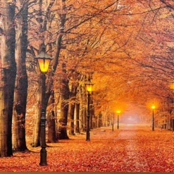Rectangular Autumn Avenue LED Canvas Wall Art 60cm -Home Decoration IMG E4216 edited136