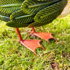 Light Brown Mallard Duck Garden Ornament -Home Decoration IMG E4332 edited18