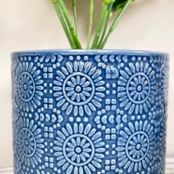 Artificial Dieffenbachia Flower In Blue Pot -Home Decoration IMG E4618 edited91