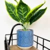 Artificial Dieffenbachia Flower In Blue Pot