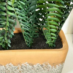 Faux Potted Fern Plant In Terracotta Pot -Home Decoration IMG E4673