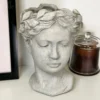 Stone Effect Goddess Head Pot Cover