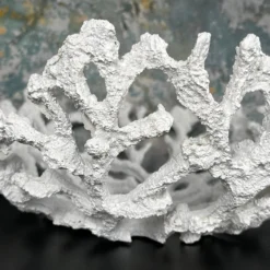 Large White Coral Bowl 12 Large White Coral Bowl -Home Decoration IMG E5193