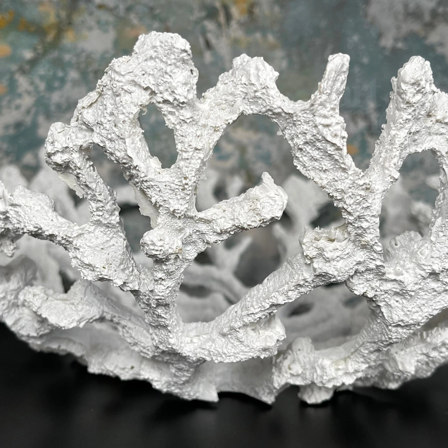 Large White Coral Bowl 5 Large White Coral Bowl - Image 5