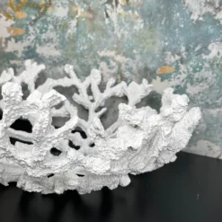 Large White Coral Bowl 14 Large White Coral Bowl -Home Decoration IMG E5195