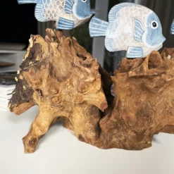 Blue Fish On Teak Root Coral Reef Sculpture -Home Decoration IMG E5898