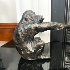 Black Ape Bookends -Home Decoration IMG E6689