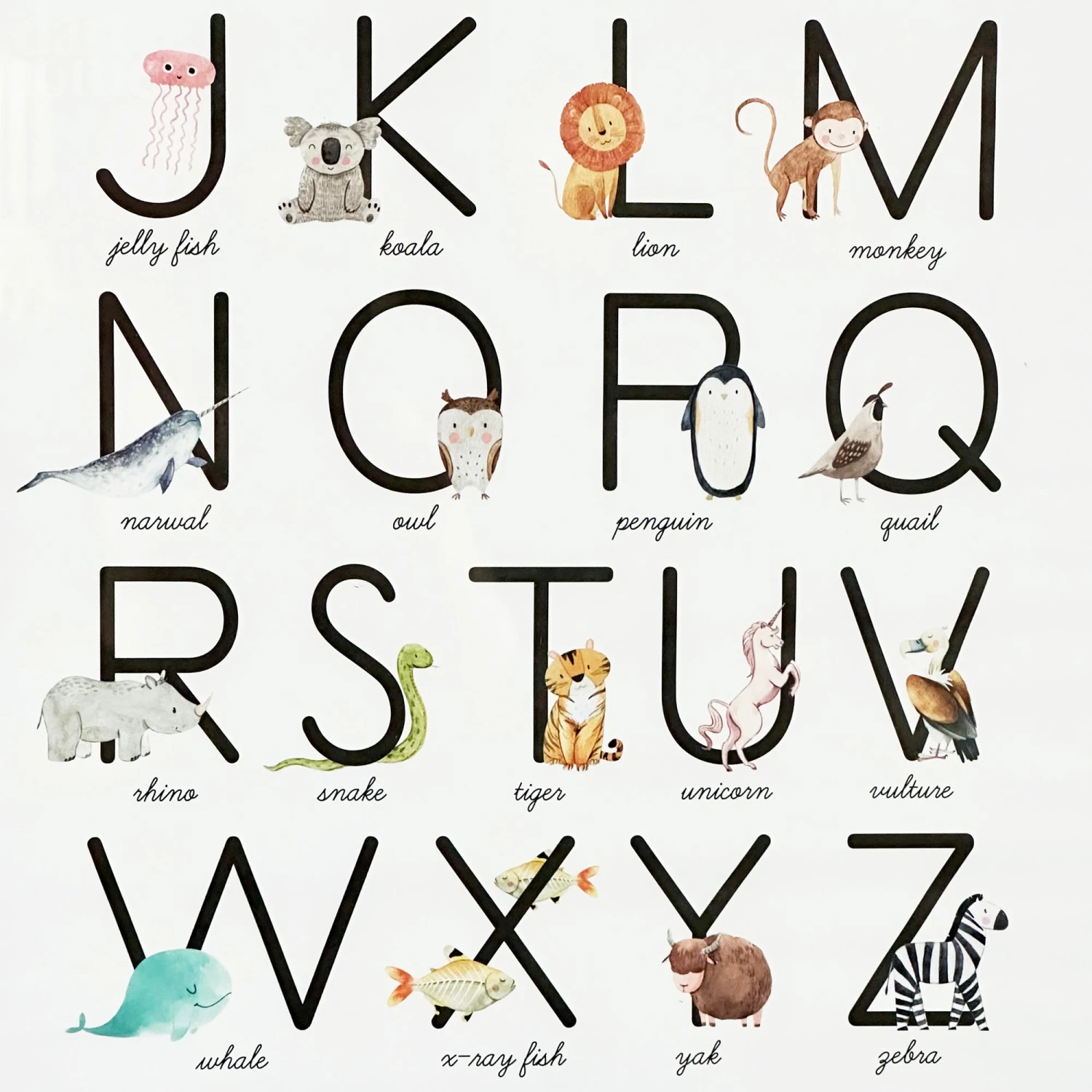 Animal Alphabet Learning Framed Print 2 Animal Alphabet Learning Framed Print - Image 2