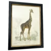 Vintage Giraffe Framed Wall Art