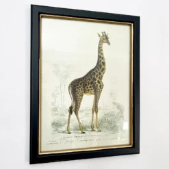 Vintage Giraffe Framed Wall Art -Home Decoration IMG E7287 b3fb1b51 814a 4cf4 89f3 2e20fc3569bc