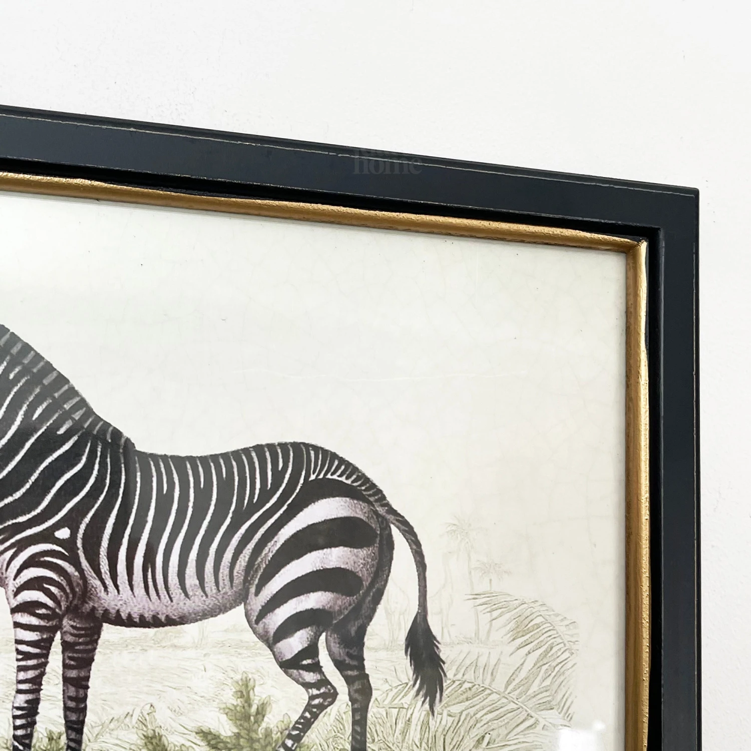 Vintage Zebra Framed Wall Art 2 Vintage Zebra Framed Wall Art - Image 2