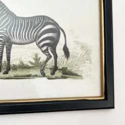 Vintage Zebra Framed Wall Art 5 Vintage Zebra Framed Wall Art -Home Decoration IMG E7309
